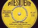 RARE LLOYD ALEXANDER REAL ESTATE *WATCHA' GONNA DO*1967
