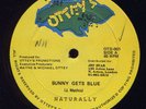 Naturally Sunny Gets Blue rare US digi 12