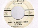 Mack Rice Comin' Home on Lu Pine Promo R&B 45 Hear