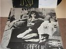 T.REX Electric Warrior LP GERMAN ARIOLA 85731 w/Poster