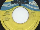 Hopeton Lindo - Tribute on Aqua 7