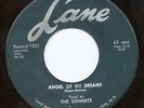 The Sonnets Rare Doo Wop 45 Angel Of My Dreams Listen
