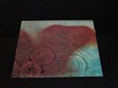 PINK FLOYD-MEDDLE-MFSL (1-190)-GATEFOLD-ROCK-LP RECORD