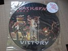 Michael Jackson Victory Pic Disc UK Jacksons RARE