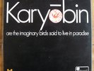 SPONTANEOUS MUSIC ENSEMBLE Karyobin Orig LP Island Pink