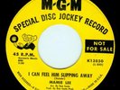 I CAN FEEL HIM SLIPPING AWAY- Mamie Lee, N. soul, promo