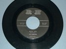 THE RAMRODS - NIGHT RIDE - RARE SURF ON R&H -1001