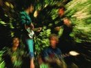CREEDENCE CLEARWATER - BAYOU COUNTRY - MINT - Pristine
