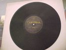 BLIND WILLIE JOHNSON - blues 78 rpm   14343-D   1928