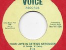 THE FOUR VOICES-YOUR LOVE IS GETTING STRONGER-VOICE.