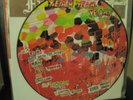 Yeah Yeah Yeahs- Fever To Hell  picture disc