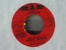 Jimmy Soul Clark 45 SOULHAWK 001 NORTHERN SOUL VG+