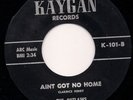 The Outlaws Ain't Got No Home - Kaygan 101