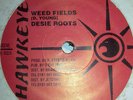 WEED FIELDS, DESI ROOTS   (LISTEN)