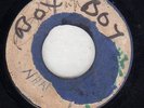 WEBBER SISTERS - WHAT YOU GONNA DO ABOUT IT / TERMITES