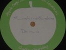 JAMES TAYLOR 1968 Acoustic DEMO Sunshine APPLE BEATLES