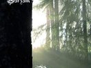 BURZUM – BELUS 2LPs on white vinyl OOP heavy metal