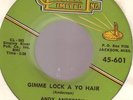 Andy Anderson / Gimme lock a yo hair     Rockabilly 7