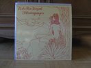 ASH RA TEMPEL - SCHWINGUNGEN VINYL  krautrock