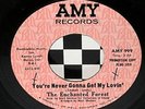 THE ENCHANTED FOREST-Never Get My Lovin'-OR.MOD PSYCH
