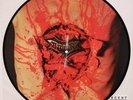 Dismember -Indecent & obscene Pic-LP 1993  original