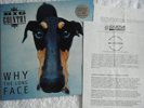 LP BIG COUNTRY Why the long face (VINYL) + PROMO Sheet