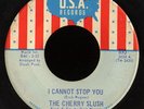U.S.A.   The Cherry Slush   Garage Psych 45 ?