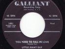 Little Jimmy Ray 