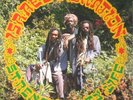 ISRAEL VIBRATION Strength of MY Life LP