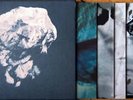 THE PIXIES Death to the pixies NM 4/10