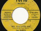 Northern Soul - THE TROPICS on Topic | RARE | LISTEN