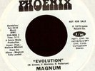 MAGNUM - Evolution/Your Mind - 1975 Funk WL Promo 45