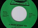 modern soul 45 DREAM WITHOUT YOU lillian alexander ? ?
