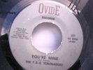 TSU Toronadoes-