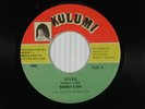DANDY LION reggae/ska 45 VIVES   KULUMI