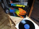 FRUMPY ALL WILL BE CHANGED 1970 MINT PLASTIC COVER