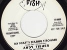 NORTHERN SOUL 45 RPM - ANDY FISHER on FAT FISH