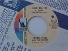 Garage Soul Fuzz Psych Monster 45 PAMELA WEBB/GEORGE
