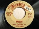 * SAMMY GORDON & HIPHUGGERS Breezin FUNK BREAKS 45 Hear