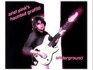 ARIEL PINK'S HAUNTED GRAFFITI UNDERGROUND VINYL LP RARE