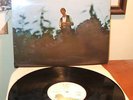 JOHN MARTYN - The Tumbler Vinyl LP   RARE Ex/Ex