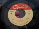 Very Rare Canada Rock 45 The Spiders on Quality Hear