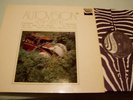 ACHIM REICHEL-Autovision (AR5) - very rare D-Orig.ZEBRA