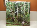 CHAD VANGAALEN - SKELLICONNECTION 2LP 2006 WOLF PARADE