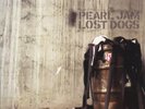 PEARL JAM -Lost Dogs 3-LP SEALED LP VINYL OUT OF PRINT