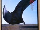 Pink Floyd - High Hopes  - Ltd. Edition, etched vinyl