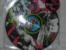 Yeah Yeah Yeahs- Fever to Tell PICTURE DISC