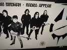 RADIO BIRDMAN 1978 Promo LP w/ press kit & photo kbd