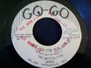 1966 GARAGE--MYSTIC FIVE--ARE YOU FOR REAL GIRL?--GO-GO