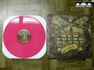 New Found Glory 
